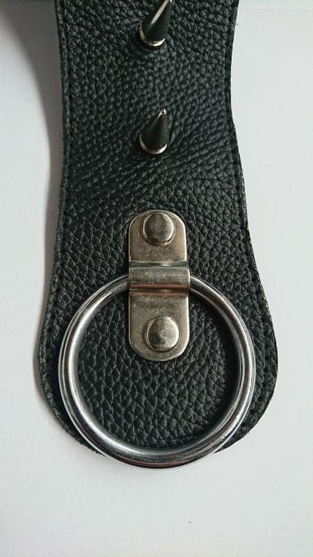 Devils Spiked Leather Collar with O Ring - - Cock Rings