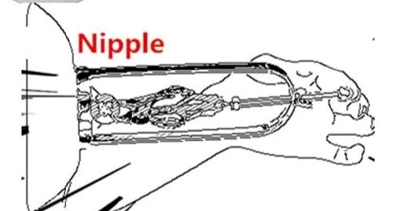 Immobilizer Nipple Clamp and Stretcher - - Breast and Nipple Toys