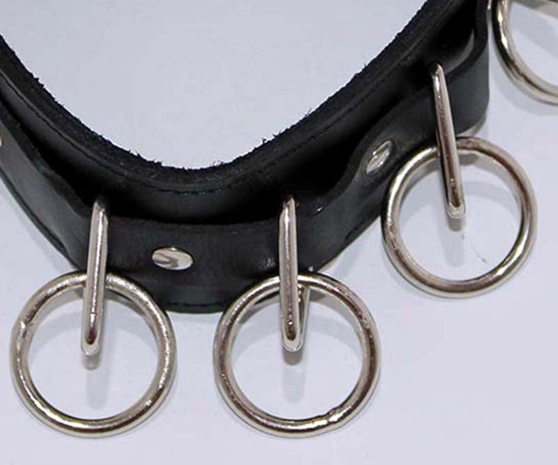 Wild Cat Slaves O-Ring Collar with O-rings and Lead - - Collars and Leads