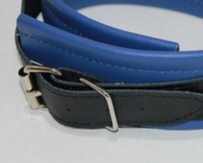 Dominance Blue Leather Lust Collar with O-Ring - - Collars and Leads