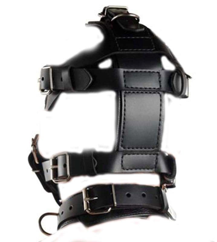 Head Harness & Muzzle Heavy - - Bondage Gags and Bits