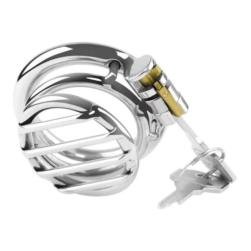 BDStyle Plate Cage Male Chastity Device Small - - Male Chastity