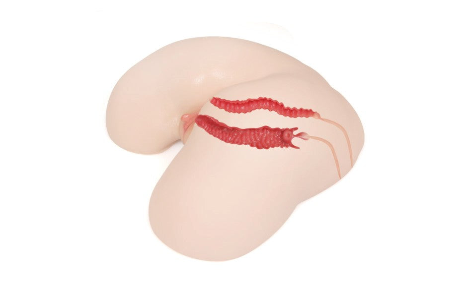 Kokos Maria Onahole 3 Ultra Realistic Male Masturbator - - Realistic Butts And Vaginas