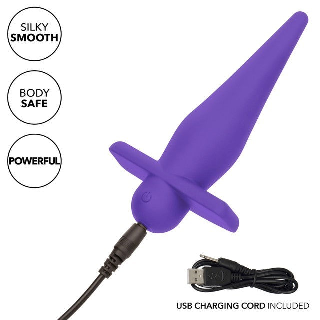 California Exotics Rechargeable High Intensity Anal Probe Purple - - Anal Vibrators