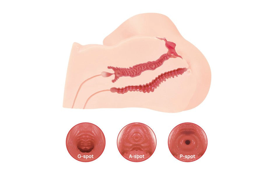 Kokos Maria Onahole 3 Ultra Realistic Pussy & Ass Male Stroker - - Realistic Butts And Vaginas