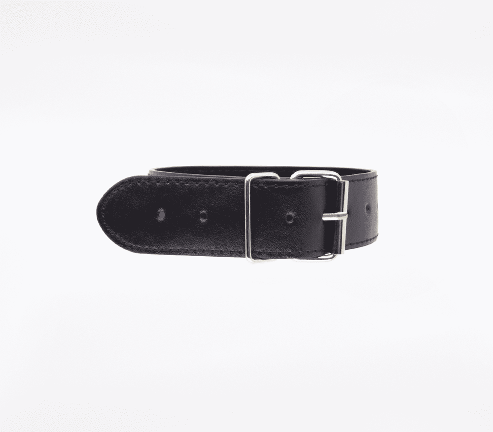 Berlin Baby BDSM Play Unlined PU Collar and Lead - - Collars and Leads
