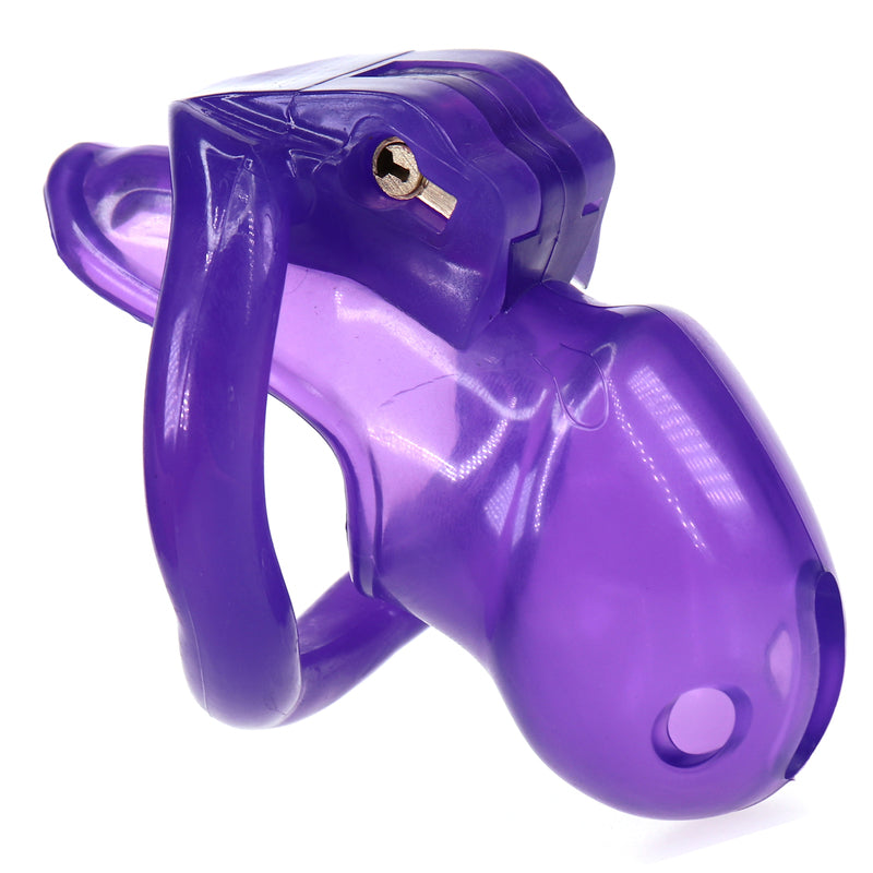 BDStyle HT V3 CB6000S Mens Cock Cage Small - Purple - Male Chastity