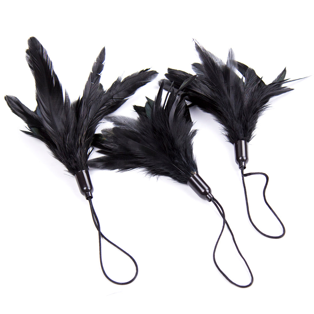 BDStyle Horn Sensory Play Feather Tickler - Ticklers