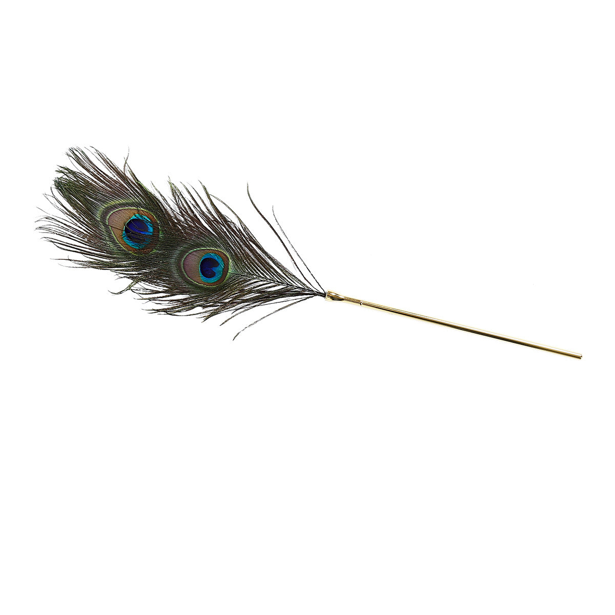 BDStyle BDSM Play Peacock Feather Tickler - Ticklers