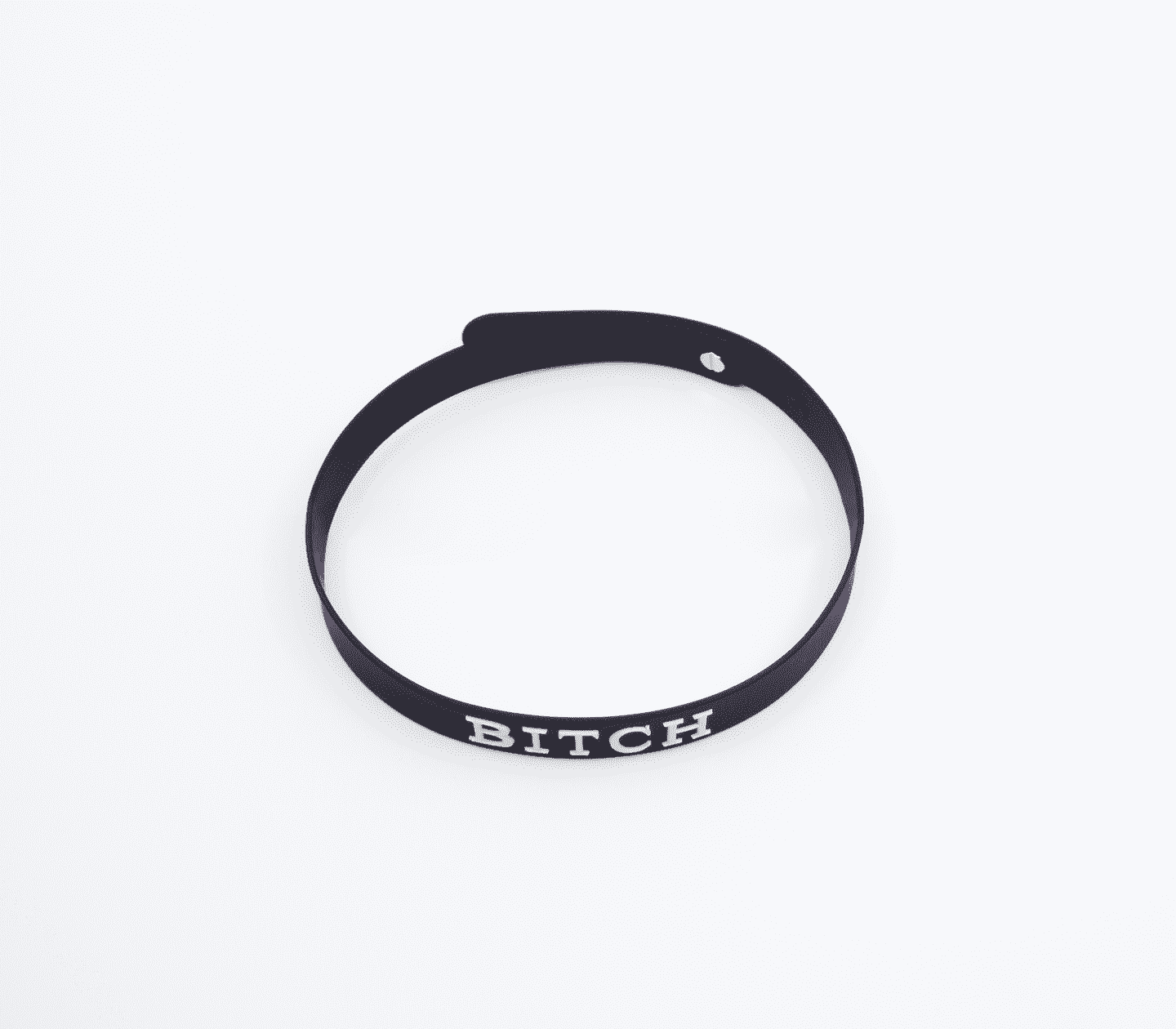 Love In Leather Fetish Play Silicone BITCH Collar - - Collars and Leads