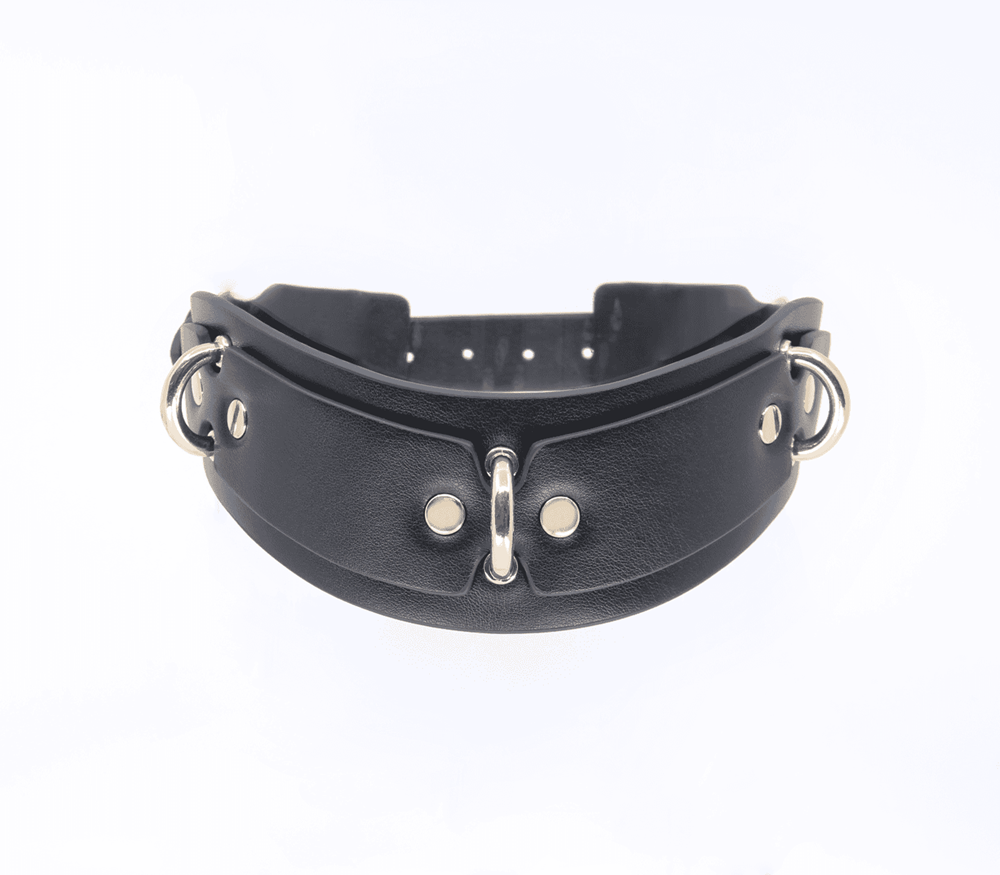 Love In Leather Posture BDSM Collar With Rings - - Collars and Leads
