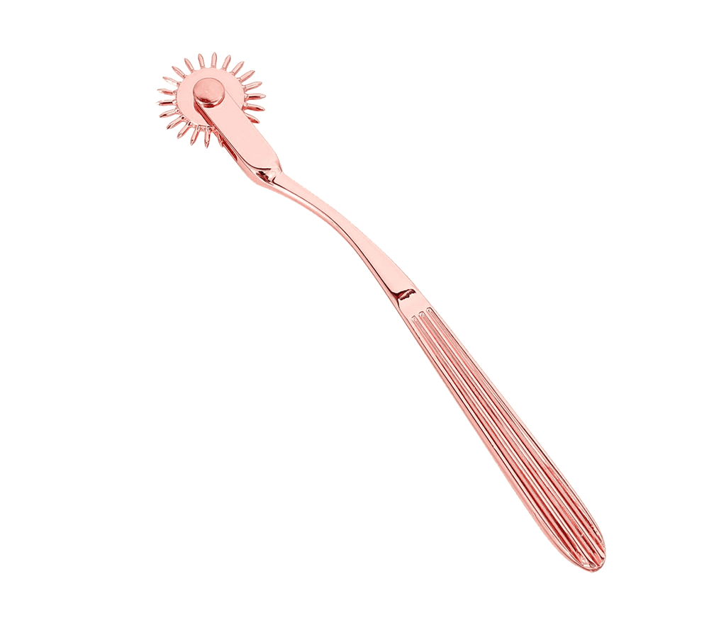 Love In Leather Bondage Play Wartenberg Wheel - - Dental and Clinical