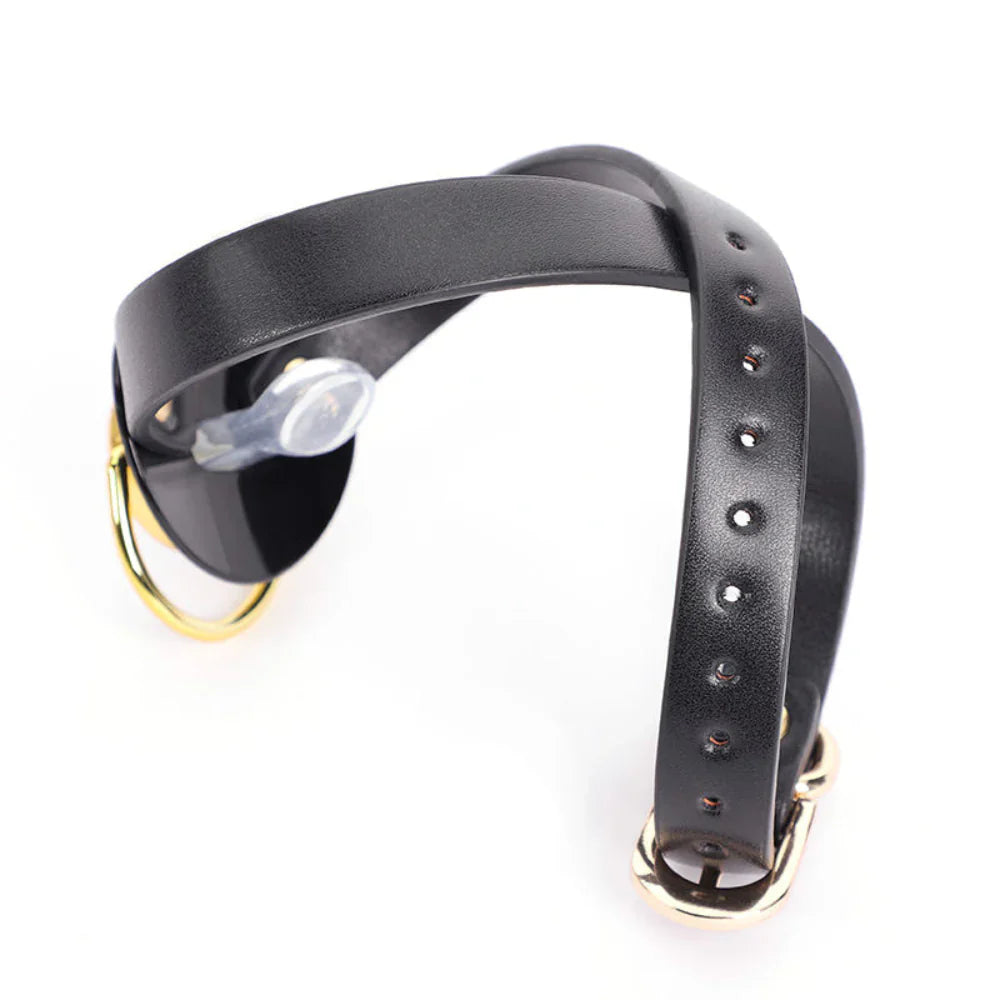 Pacifier Mouth Gag With Nipple Clamp Clip - - Breast and Nipple Toys