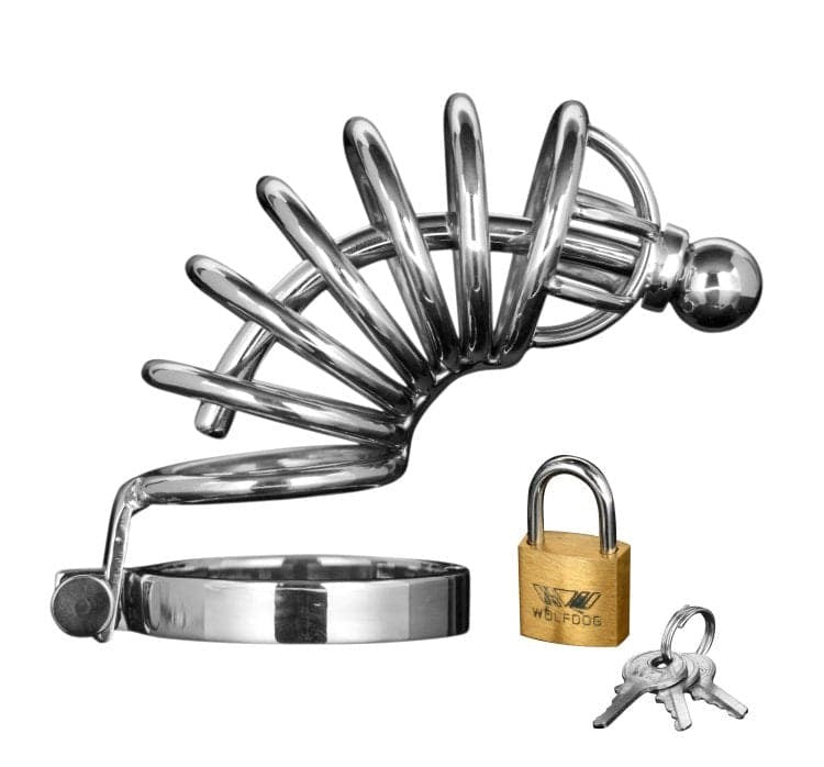 Asylum 6 Ring Locking Chastity Cage - - Male Chastity