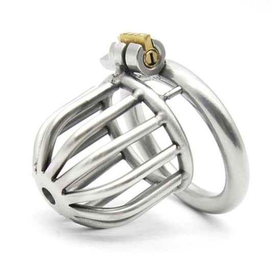 Asylum Chastity Cage - Male Chastity