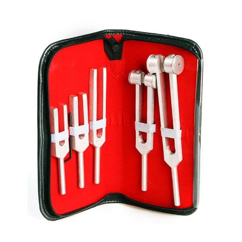 Delish Sex Tuning Fork Set - Penis Plugs