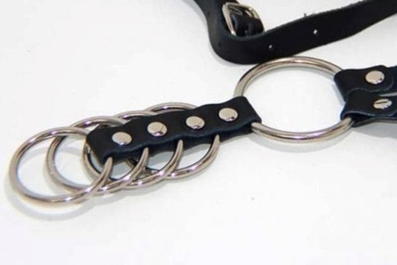 Gates of Hell Harness 1 Ring - - Male Chastity