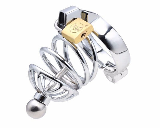 Instituted Cock Cage & Penis Plug - Male Chastity