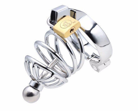 Instituted Cock Cage & Penis Plug - Male Chastity