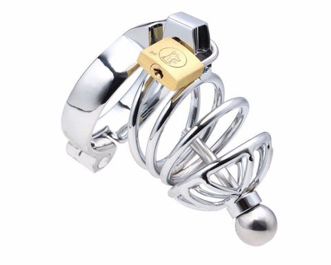 Instituted Cock Cage & Penis Plug - Male Chastity
