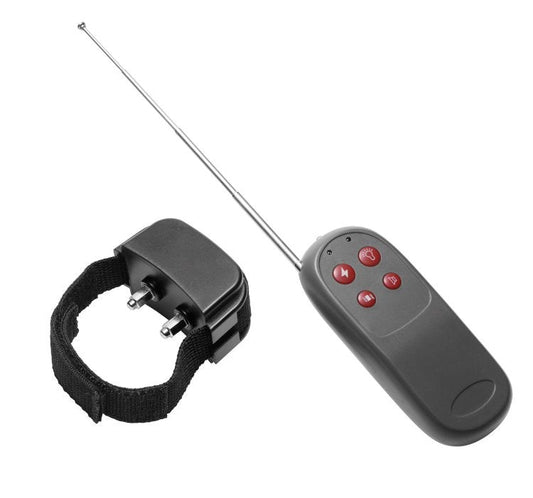 Cock Shock Remote Cbt Electric Cock Ring - Cock Rings