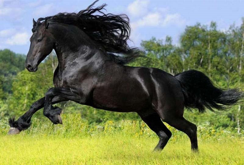 not found - Delay and Excite Sprays