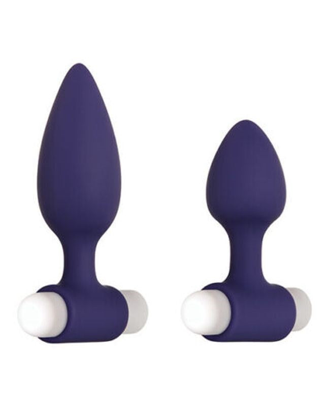 Evolved Dynamic Duo - - Anal Vibrators