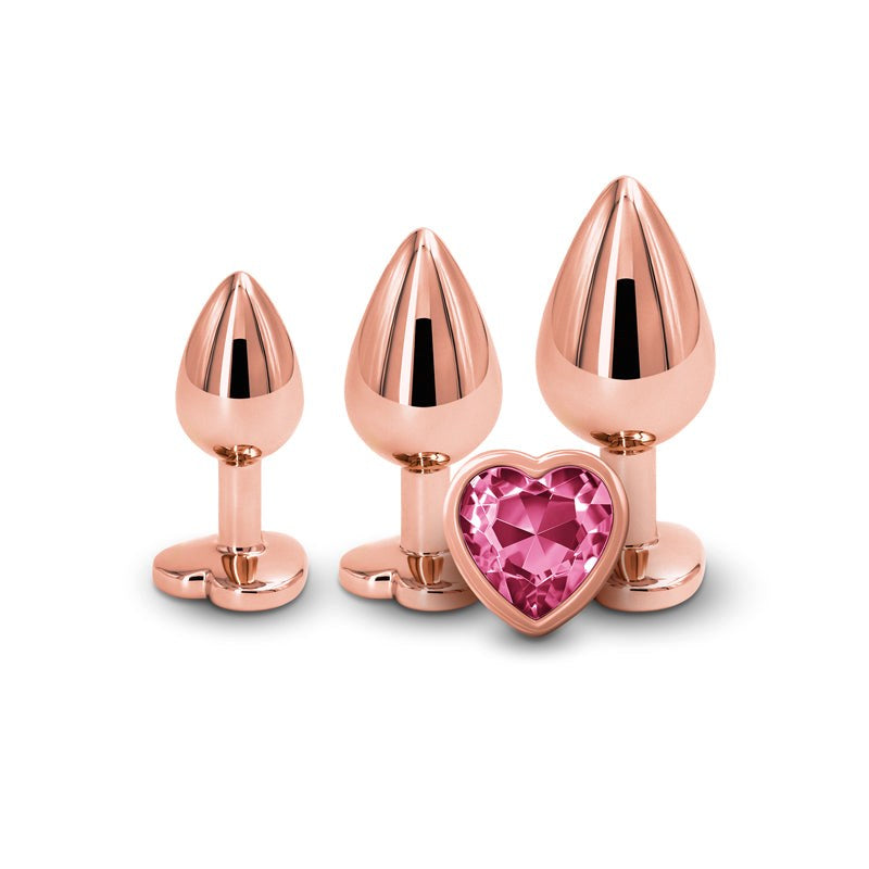 Rear Assets Trainer Kit- Rose Gold Pink Heart - - Butt Plugs