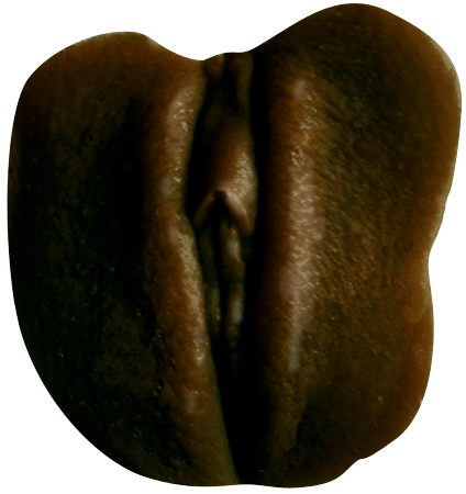 Clone-A-Pussy Edible Milk Chocolate - Moulding Kits