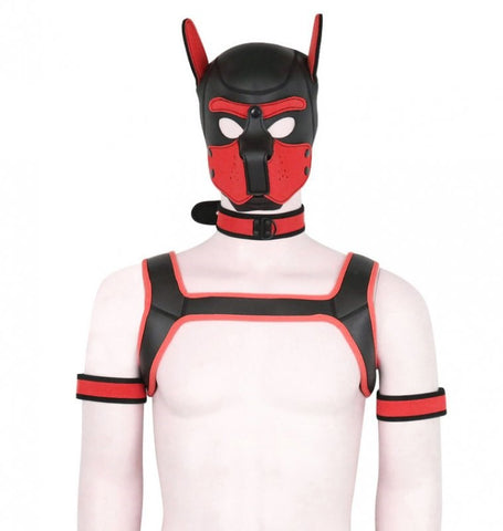 Dog Hood Bondage Kit - Bondage Hoods