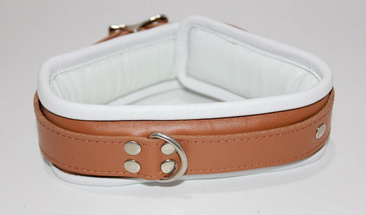 Dungeon Delights Asylum Collar Padded - Collars and Leads