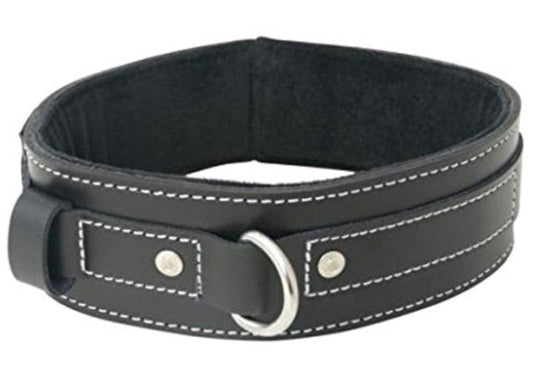 Edge Lined Leather Collar - Collars and Leads