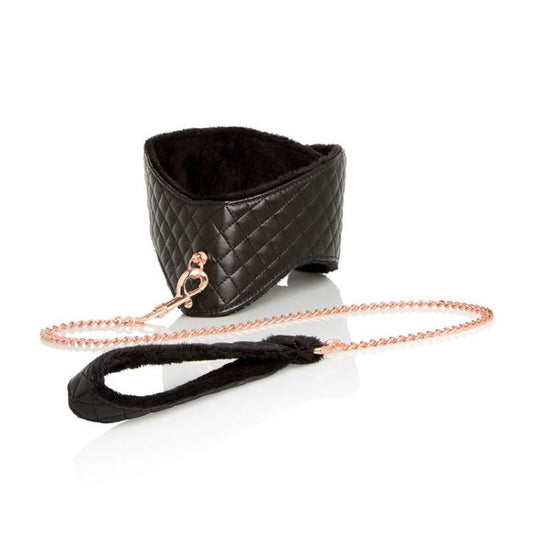 Entice Posture Collar with Leash - Collars and Leads
