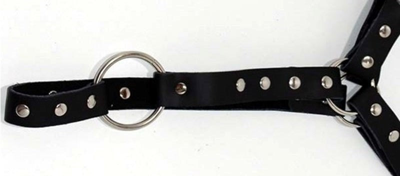 Leather Waist Harness with Cockring - - Cuffs And Restraints