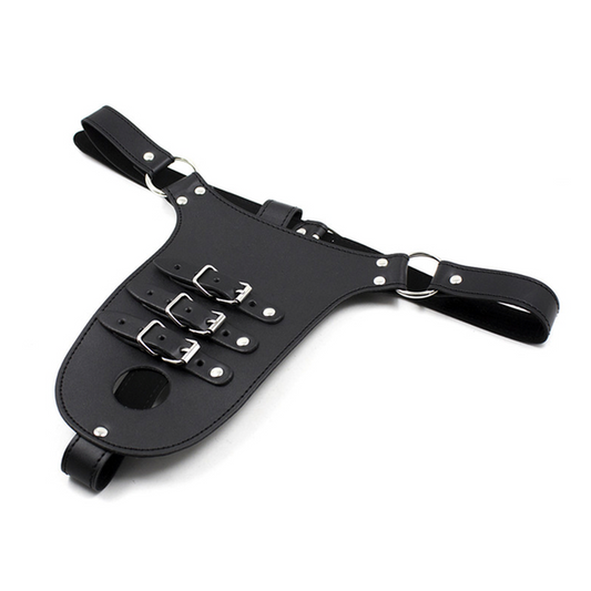 Male Chastity Harness with Penile Straps - Ball and Cock Toys
