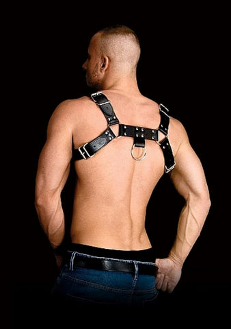 Alluring Bondage Bliss - Luxurious Leather Chest Harness - Cuffs and Restraints