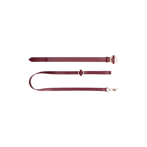 OUCH! Halo - Collar With Leash - Collars and Leads