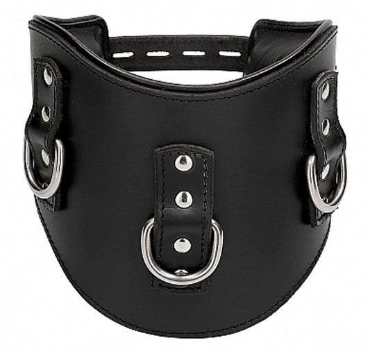Pain Heavy Duty Padded Posture Collar - Collars and Leads