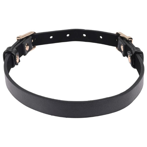 S&M Double Buckle Day Collar - Collars and Leads