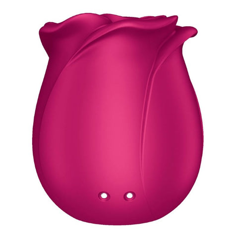 Satisfyer Pro 2 Classic Blossom Clitoral Vibrator - Clit Ticklers and Pulsators