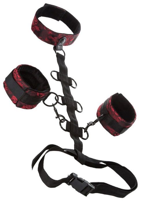 Scandal Collar Body Restraint - Cuffs and Restraints