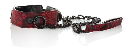 Scandal Collar with Leash - Collars and Leads