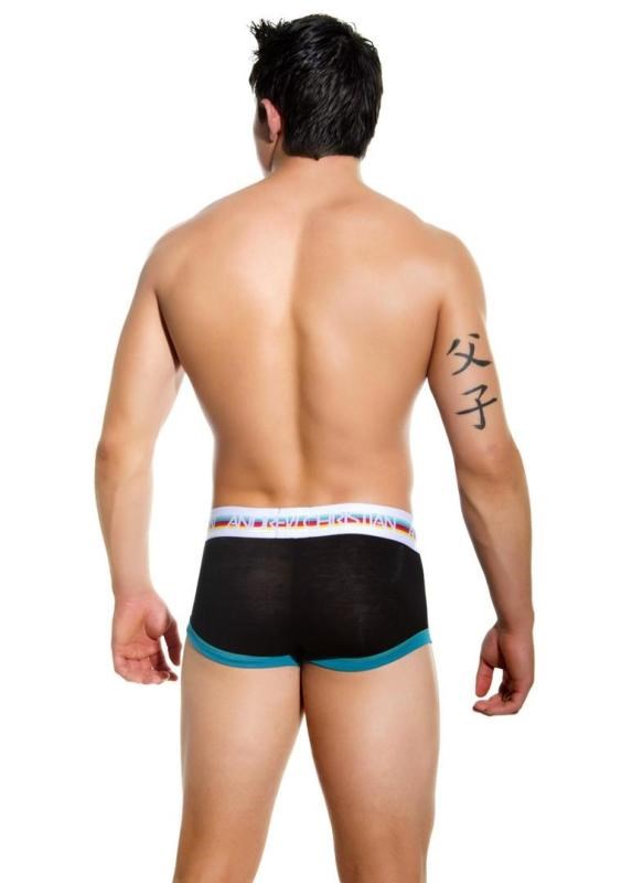 Teaser Boxer Black Large - Mens Briefs And Boxers