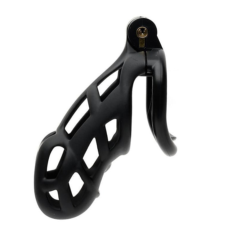 Professional The Guardian By Sport Fucker - Male Chastity