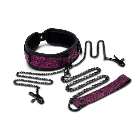 WhipSmart Dragons Lair - Collar Leash & Nipple Clips for Dominance & Submission - Breast and Nipple Toys
