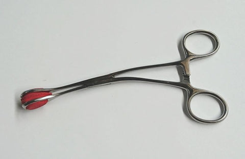 Young Tongue forceps with Curved Handle 17cm - Dental and Clinical