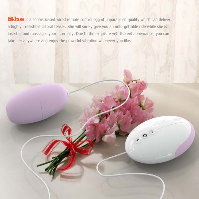 Odeco Wired Remote Control Egg - - Steel Sex Toys