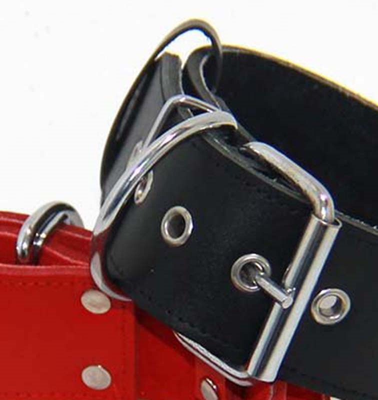 Pigs Leather BDSM Collar - - Collars And Cuffs