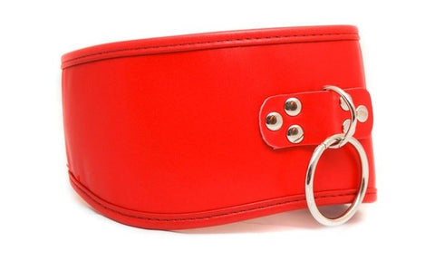 Posture Collar with O Ring - Collars and Leads