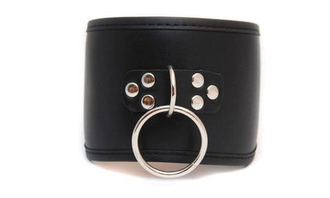 Posture Collar with O Ring - Collars and Leads